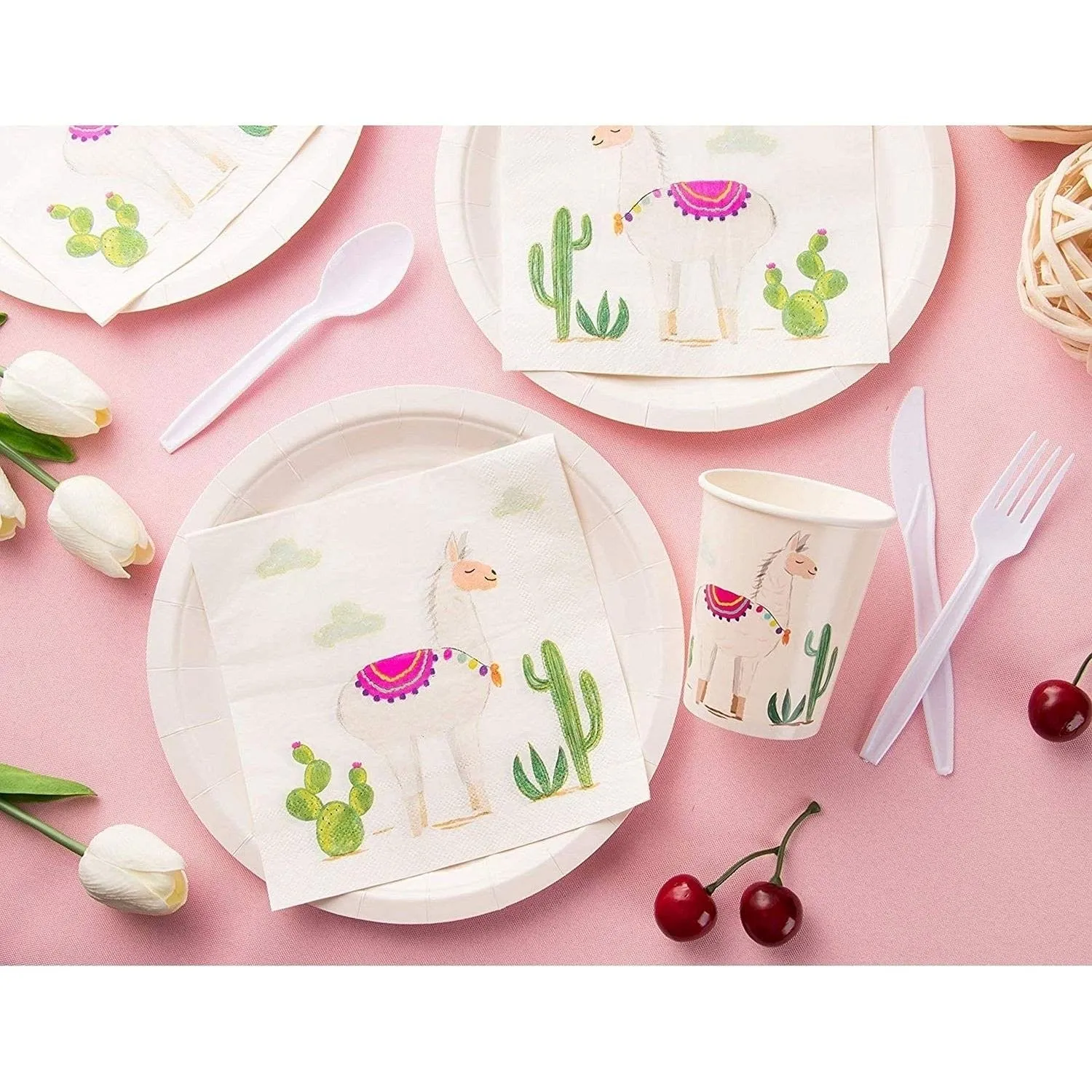 24 Set Dinnerware Birthday Party Supplies Girls Boho Themed Llama