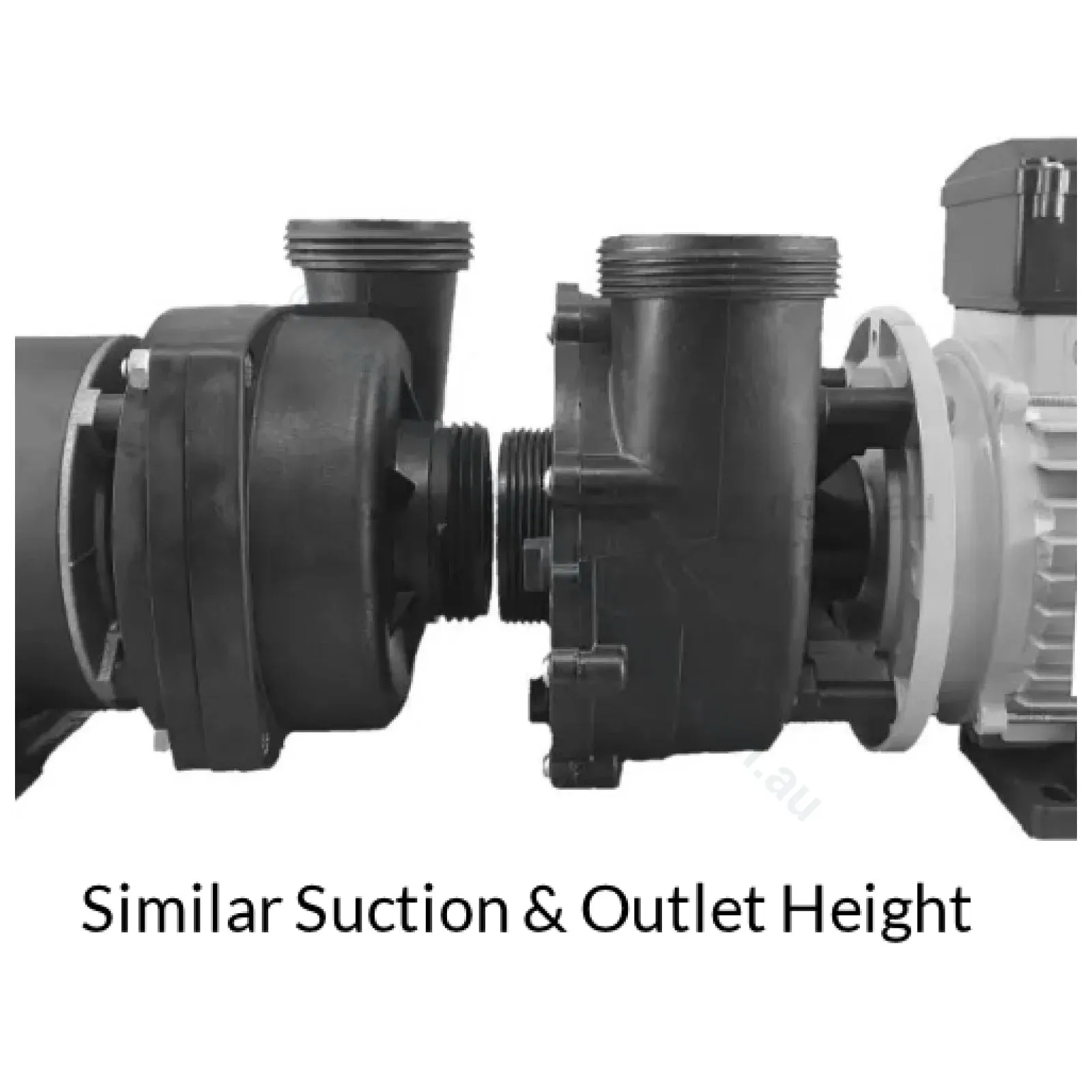 2.5 HP Maxi-flow Two Speed Spa Pump Replacement - Q6888 Q6808 - By Spatex