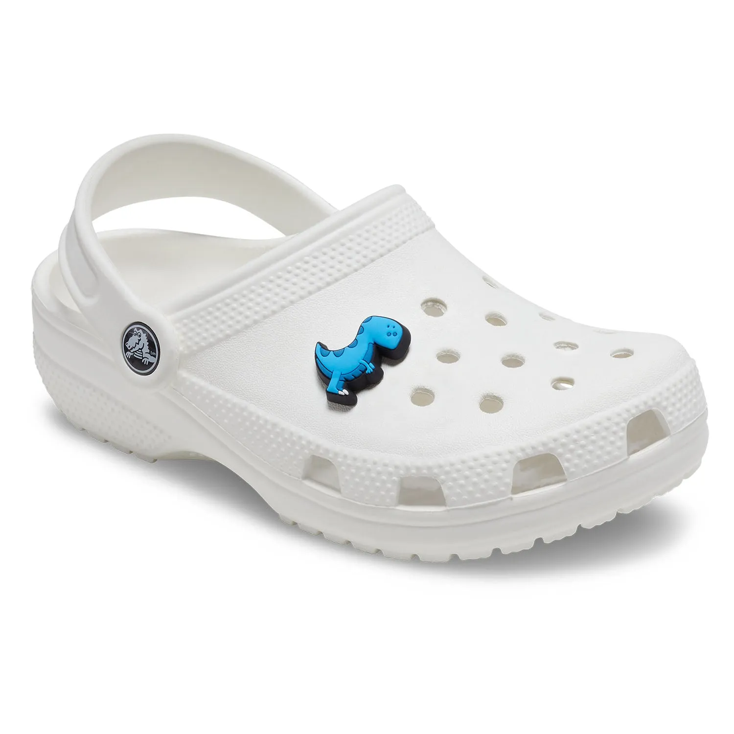 Boys Rule Blue Dino Jibbitz
