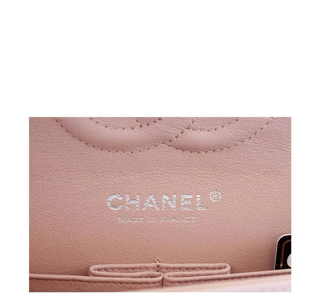 Chanel Cruise Medium Flap Bag Pink