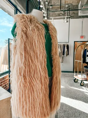 Clara Faux Fur Vest