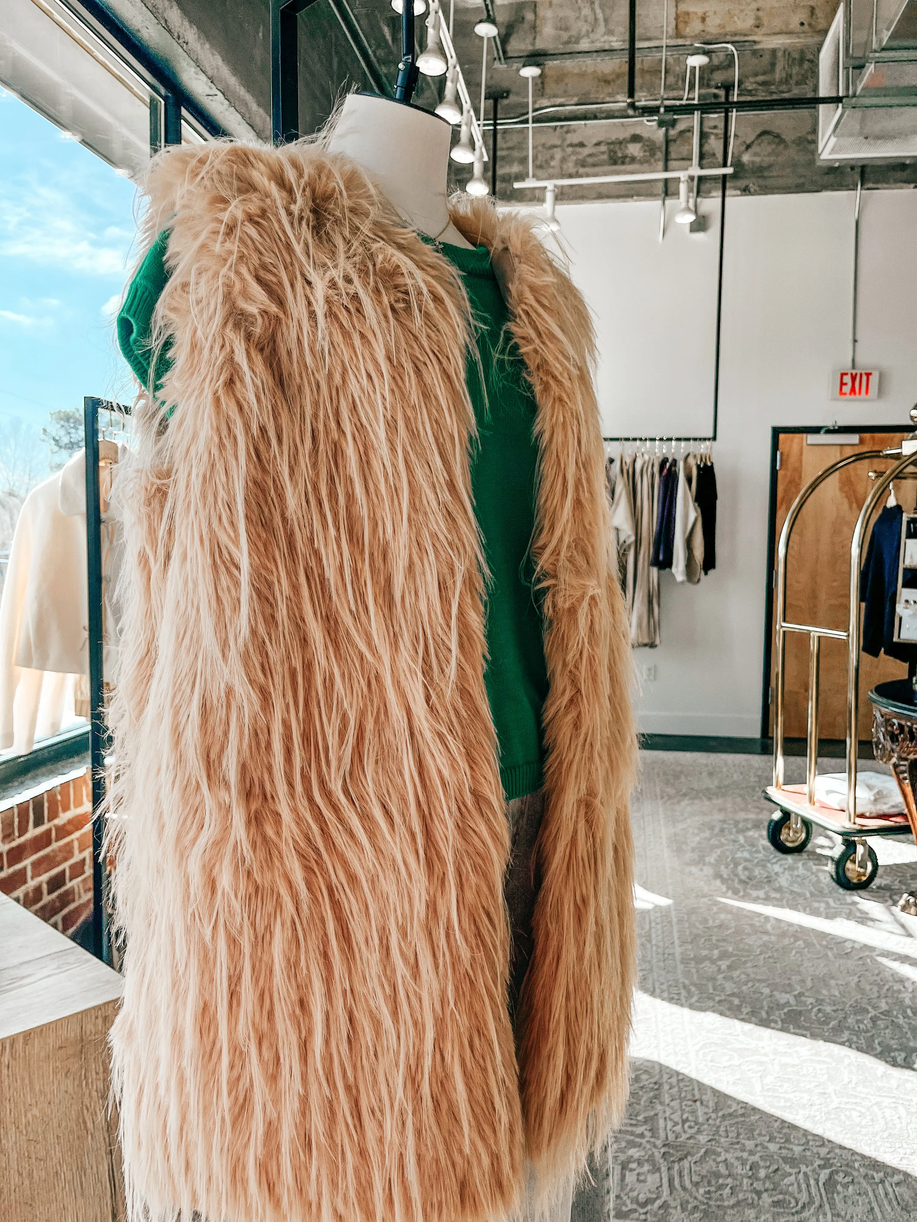 Clara Faux Fur Vest