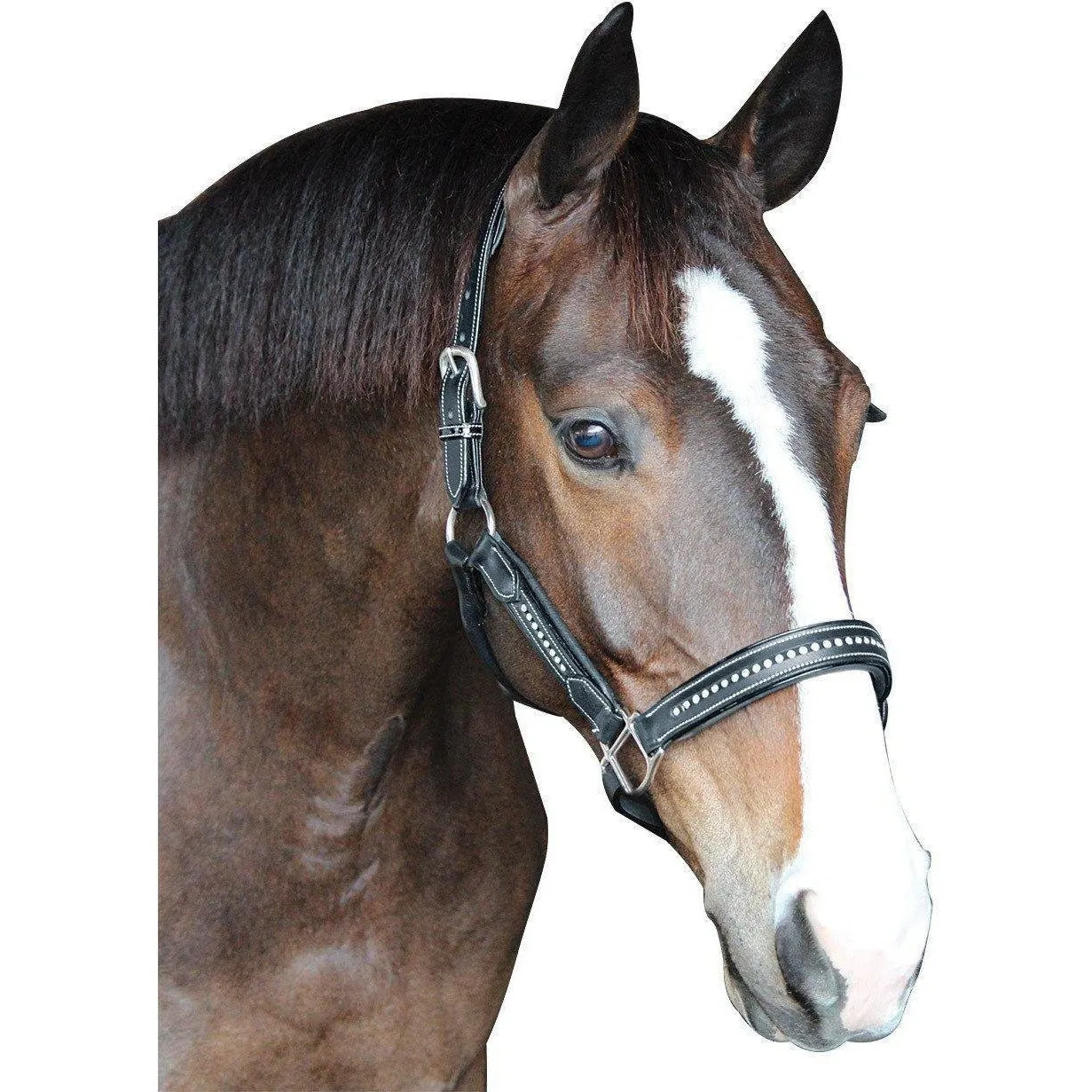 Henri de Rivel Padded Crystal Halter