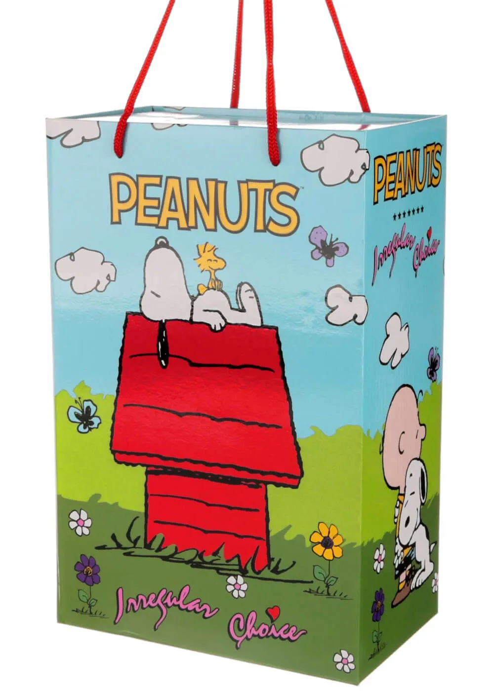 Irregular Choice x Peanuts A Boy And His Beagle Pumps Black