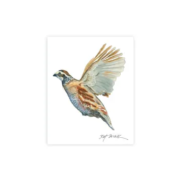 Kat McCall 8" x 10" Game Bird Prints