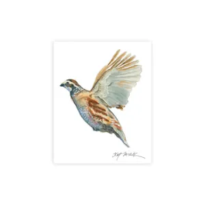 Kat McCall 8" x 10" Game Bird Prints