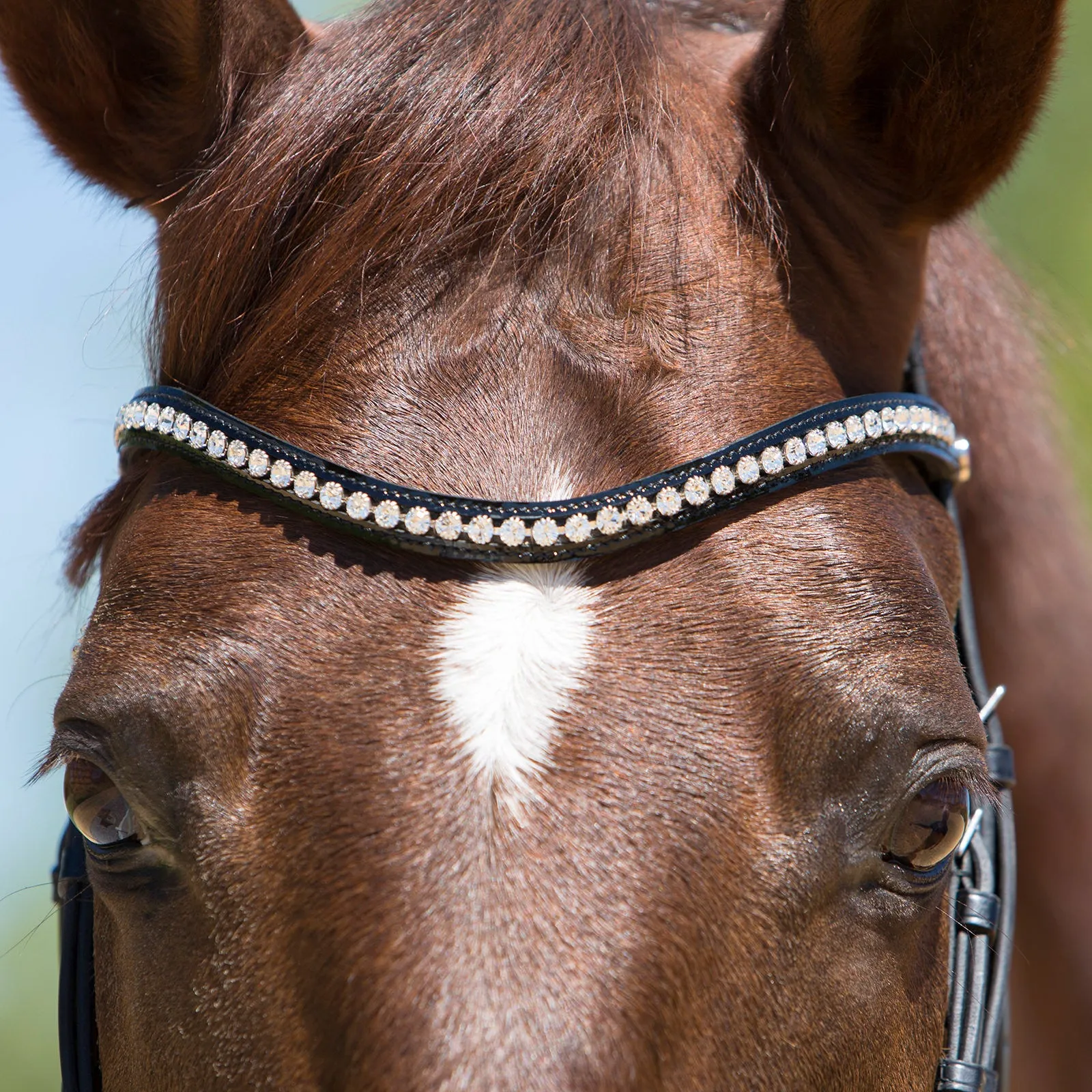 Kieffer Lea Snaffle Bridle