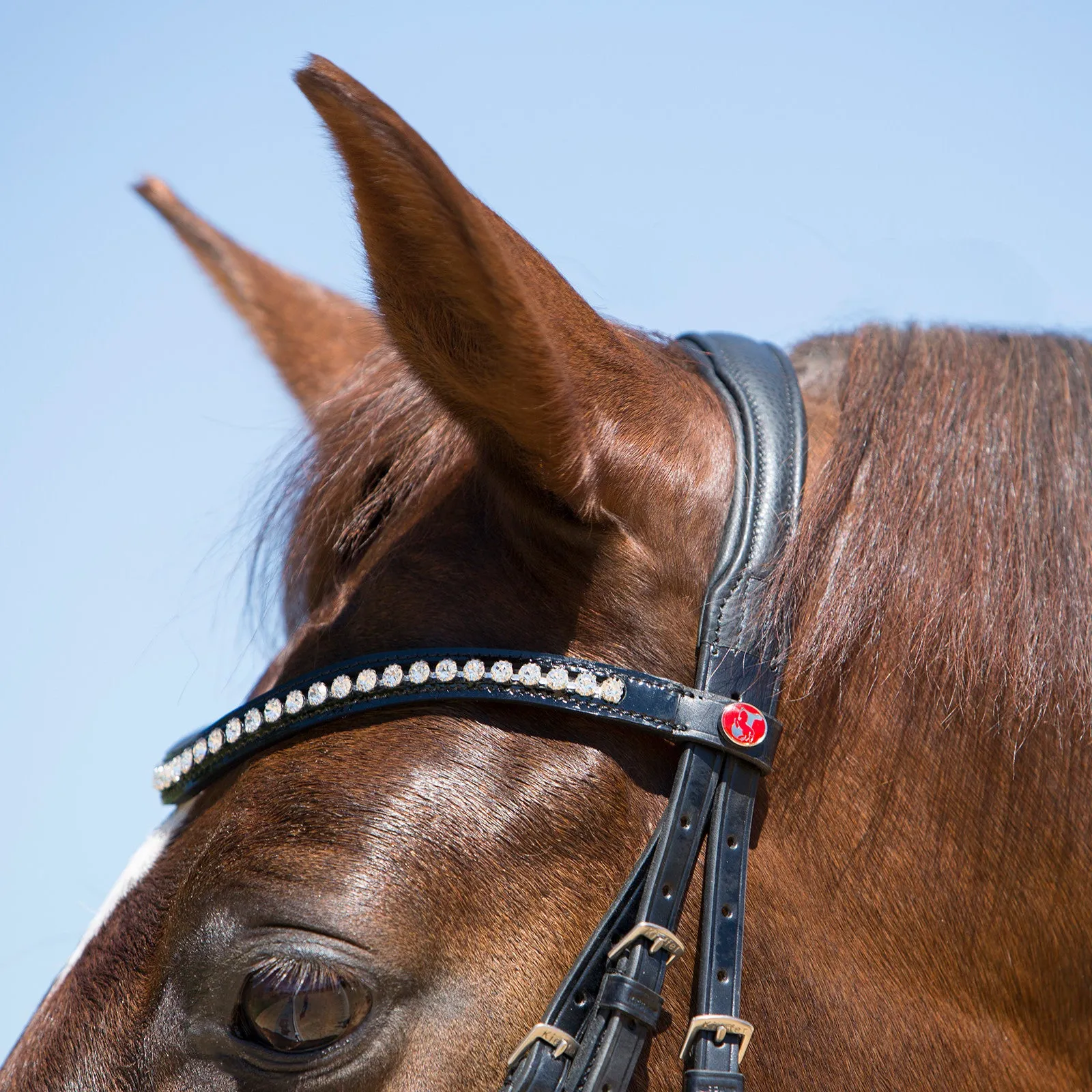 Kieffer Lea Snaffle Bridle