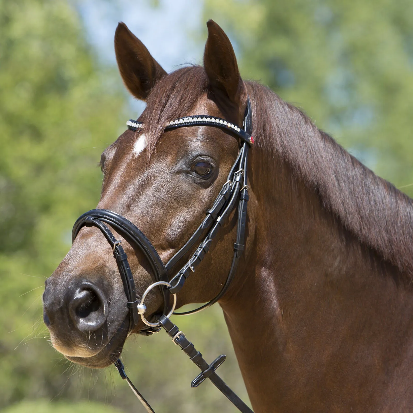 Kieffer Lea Snaffle Bridle