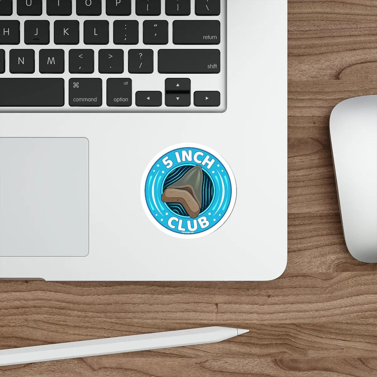 Megalodon 5 Inch Club Round Sticker
