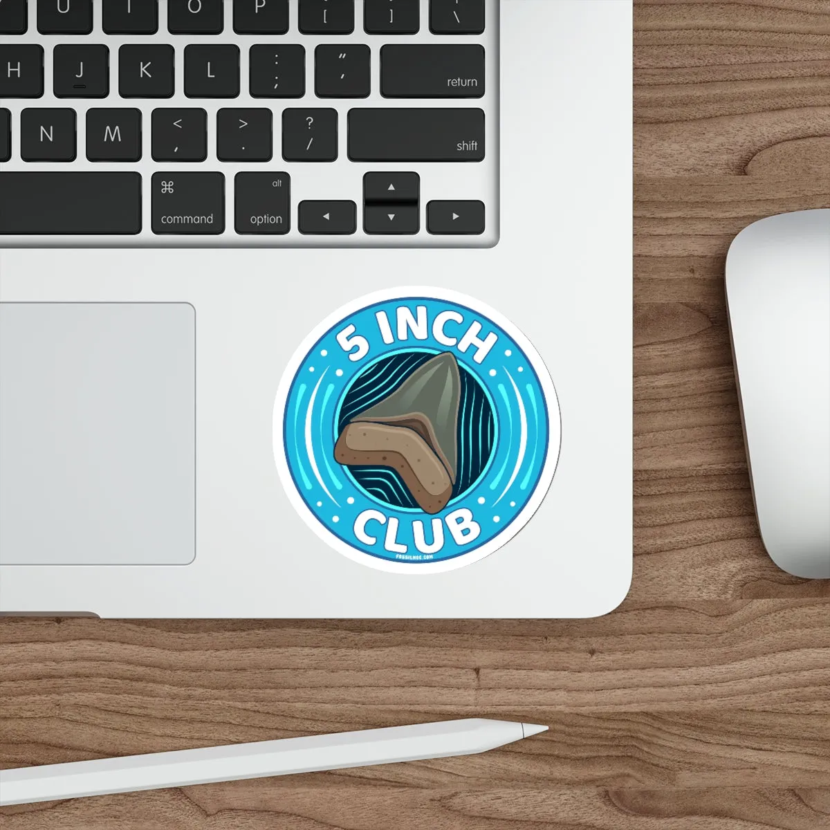 Megalodon 5 Inch Club Round Sticker