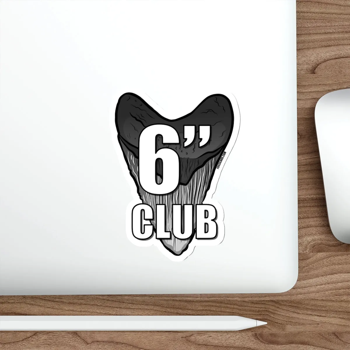 Megalodon 6 Inch Club Sticker