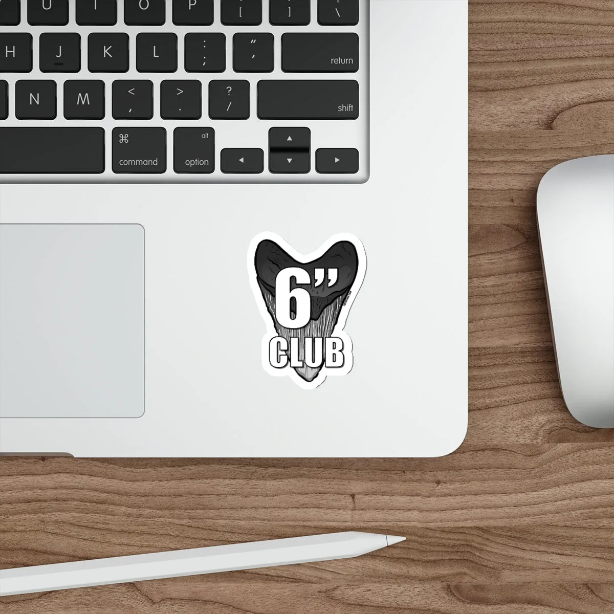 Megalodon 6 Inch Club Sticker