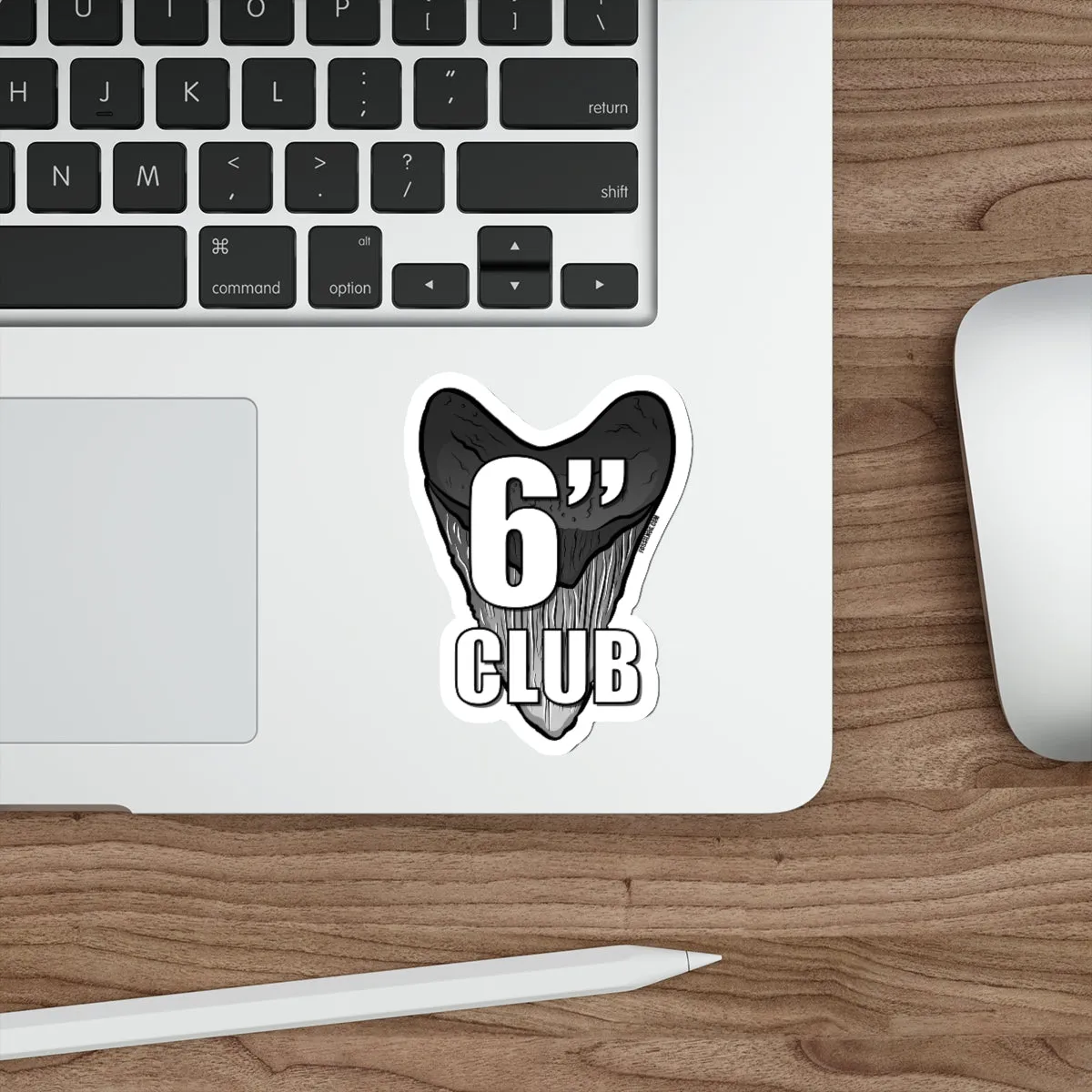 Megalodon 6 Inch Club Sticker