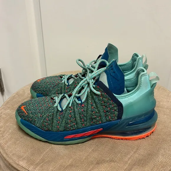 Nike LeBron 18 We Are Family CW2760-300