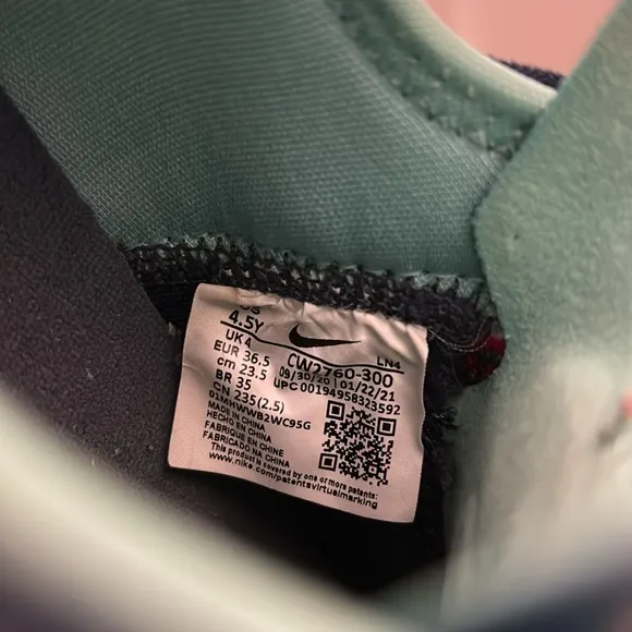 Nike LeBron 18 We Are Family CW2760-300