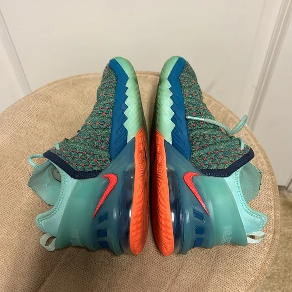 Nike LeBron 18 We Are Family CW2760-300