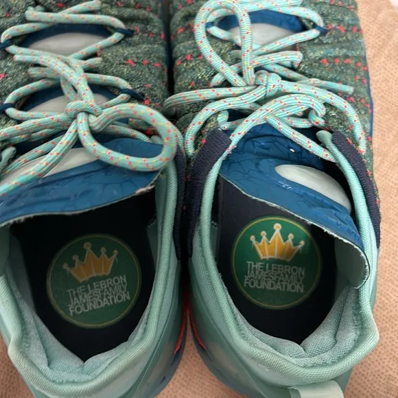 Nike LeBron 18 We Are Family CW2760-300
