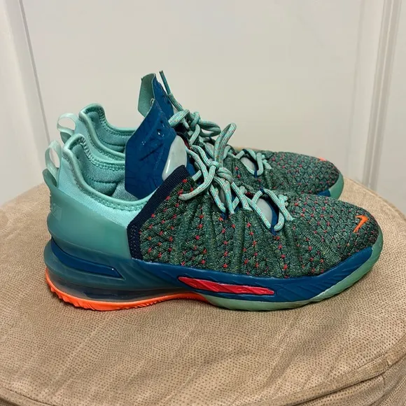 Nike LeBron 18 We Are Family CW2760-300