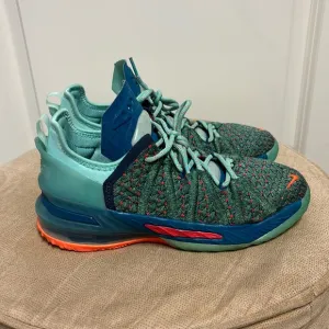 Nike LeBron 18 We Are Family CW2760-300