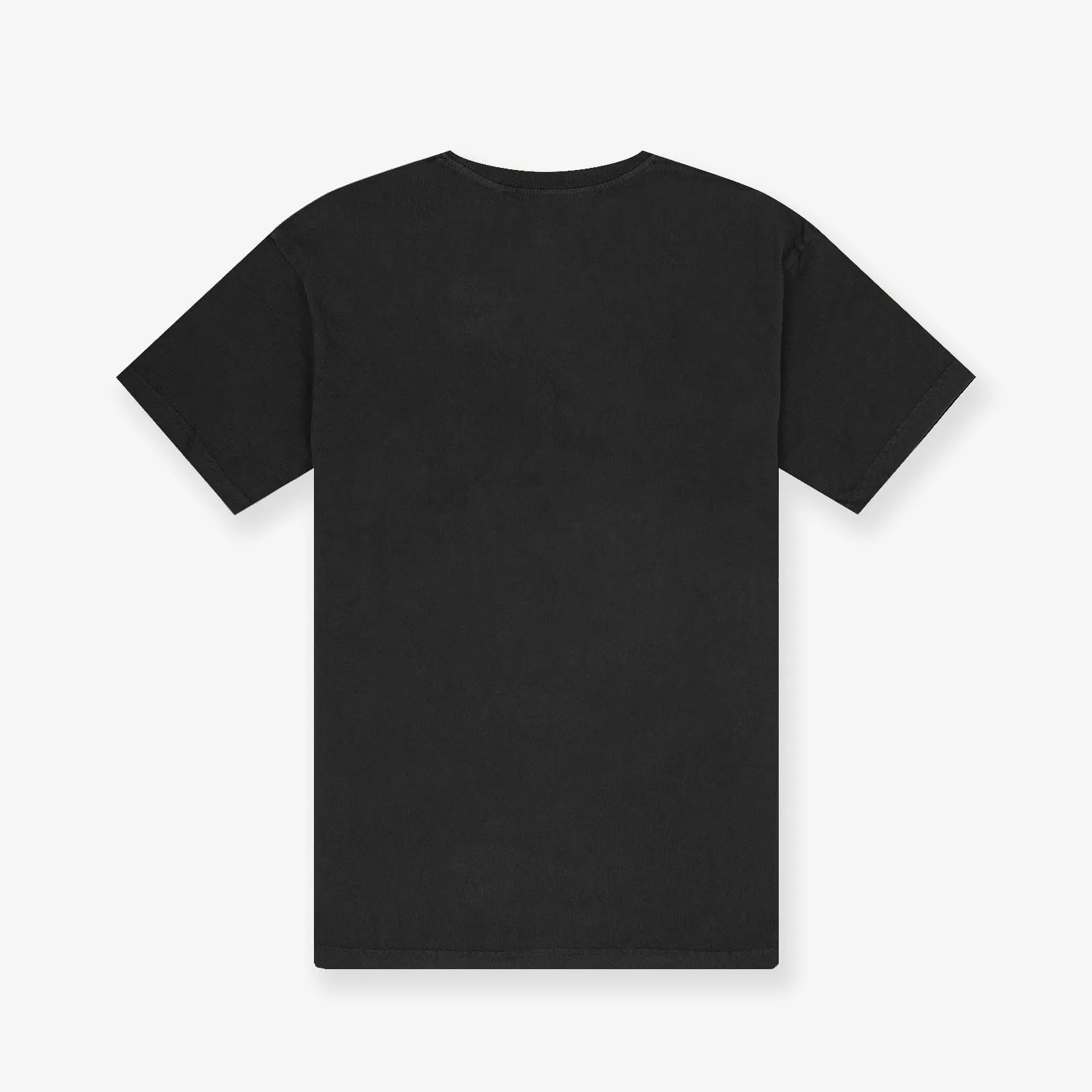 Vince Carter Toronto Raptors Photo Player Tee - Faded Black
