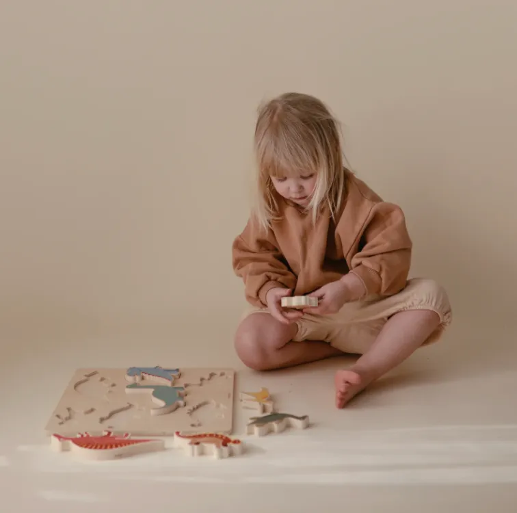 Wooden Puzzles